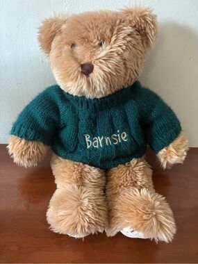 Barnes & Noble Barnsie Limited Edition Teddy Bear Plush 16 Inch Green Sweater